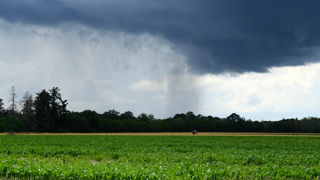 Après quelques jours ensoleillés, MeteoNews annonce le retour des orages dès ce jeudi 29 juin 2023. Après quelques jours ensoleillés, MeteoNews annonce le retour des orages dès ce jeudi 29 juin 2023.